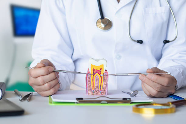 Best Urgent Tooth Repair  in Orwell, OH